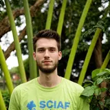 greenie profile photo