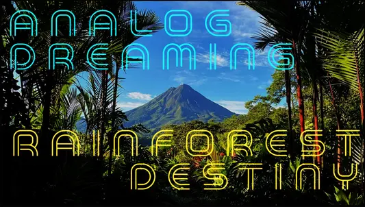 Analog Relaxtion – Rainforest Destiny