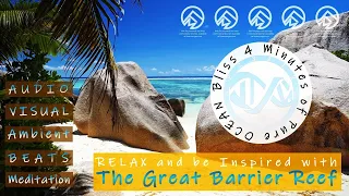 Theme of The Great Barrier Reef